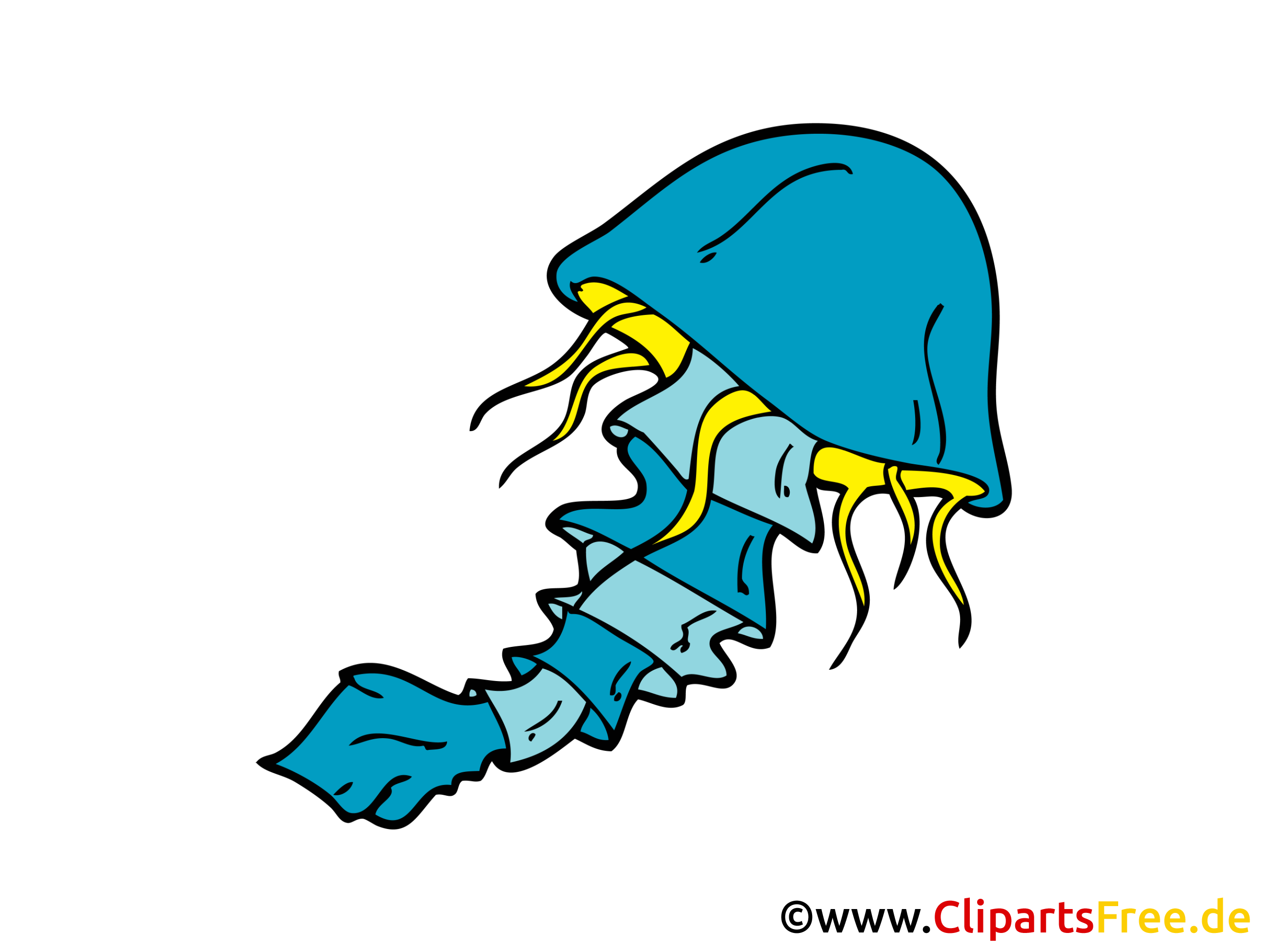 jellyfish clipart free - photo #28