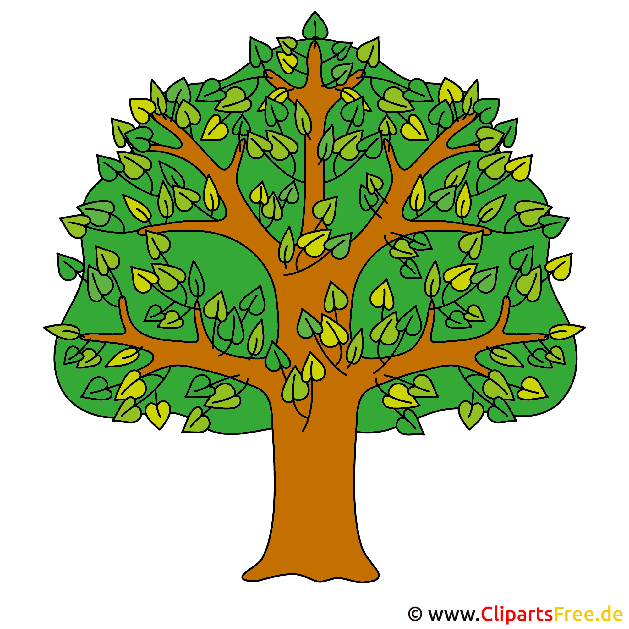 Clipart Kostenlos Baum