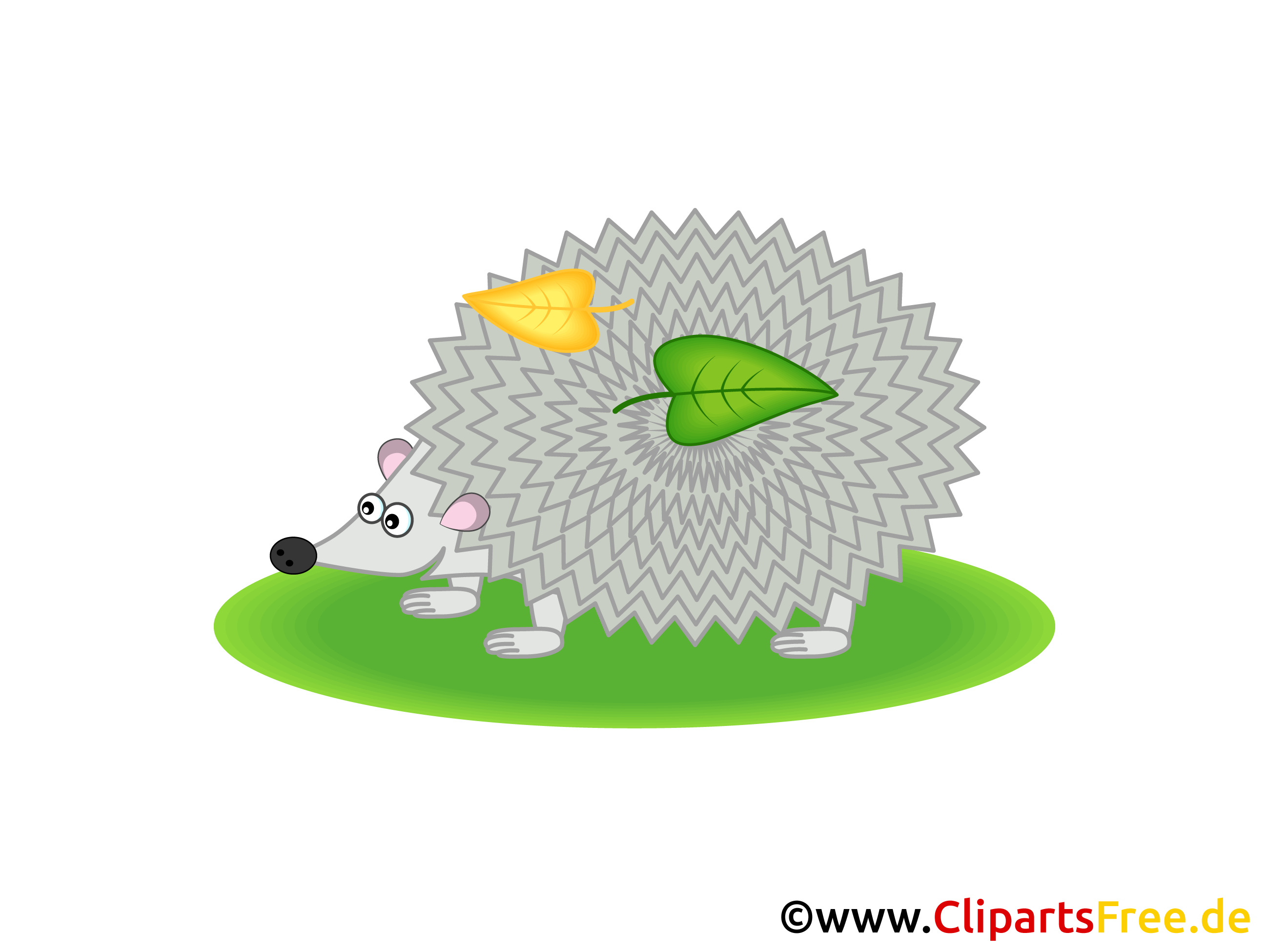 cliparts igel - photo #22