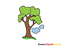 eiche_clipart_bild_grafik_cartoon_zeichnung_gratis_20151003_1911745212.png