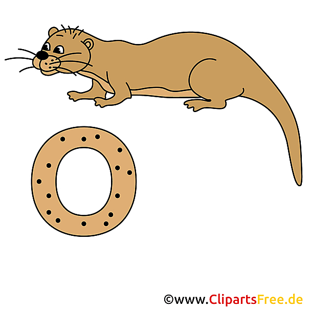 Deutsch Alphabet - Otter Bild für Schule