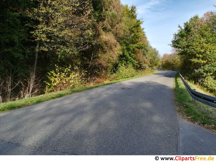 Asphaltstrasse im Wald Foto
