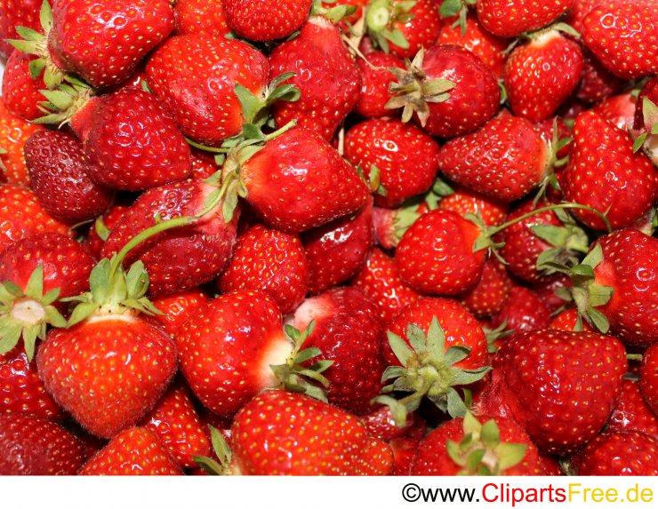 Rote Erdbeeren Foto für Unterricht
