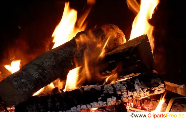 Feuer Holz Foto gratis