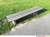 Bench in the park photo free