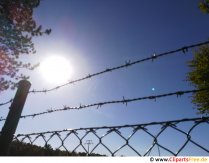 Barbed wire on fence with sun in the background photo