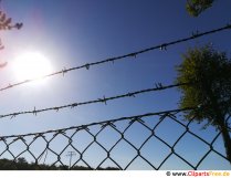 Fence wire and sky picture free