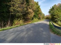 Asphaltstrasse im Wald Foto