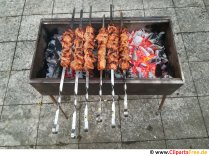 Mangal with Schaschlyk photo