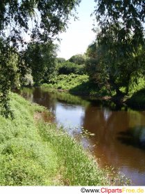 Kleiner Fluss im Sommer