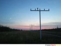Залез на летището снимка, снимка, тапет безплатно