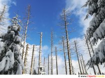 Blauer Himmel Bild, Foto, Grafik kostenlos