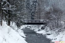 Puente sobre el río en el bosque, fotos de invierno gratis