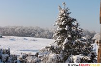 Paisaje de invierno hermosa foto sobre el tema del invierno