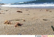 Kleiner Sturm am Meer Foto