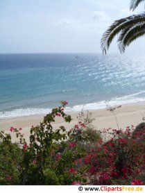 Schöner Blick auf Strand Foto kostenlos