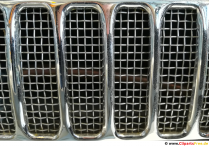 Papur Wal Car Grille Am Ddim