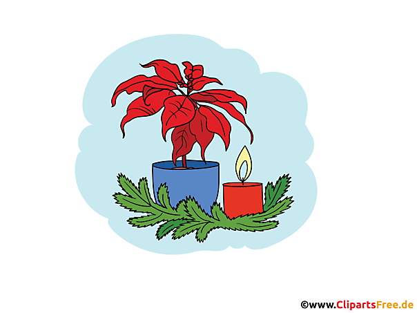 Bild Topf mit Weihnachtsstern und Kerze Clipart zu Weihnachten