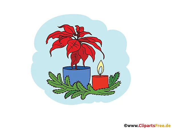 Bild Topf mit Weihnachtsstern und Kerze Clipart zu Weihnachten