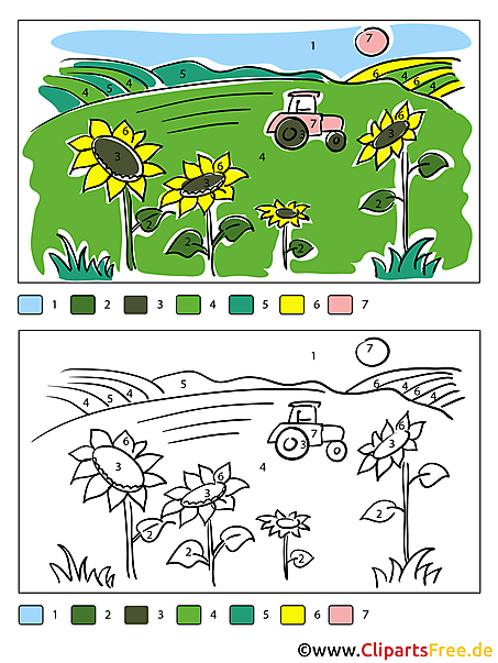 Sonnenblumen im Feld Ausmalen nach Zahlen Sonnenblumen im Feld Ausmalen nach Zahlen