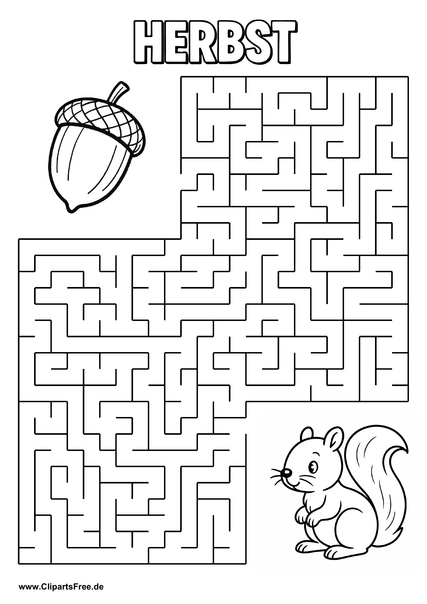 Eichhörnchen sucht Eichel Labyrinth zum Drucken