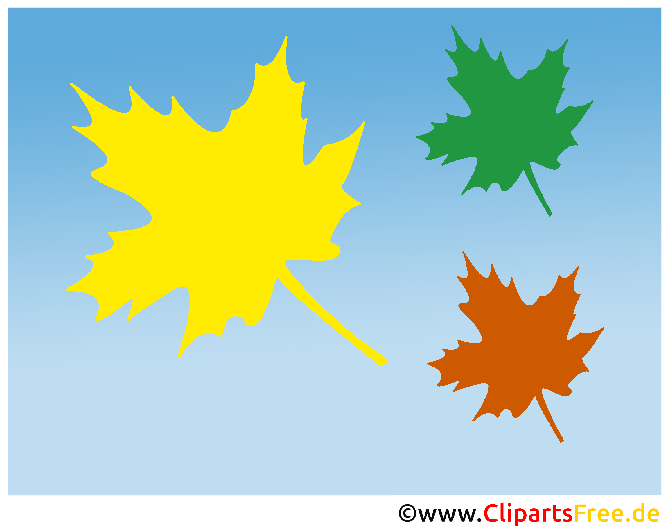 Websites Achtergronden Maple Leaves Websites Achtergronden Maple Leaves