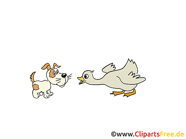 Bilder Tiere auf dem Bauernhof - Hund und Gans Bilder Tiere auf dem Bauernhof - Hund und Gans