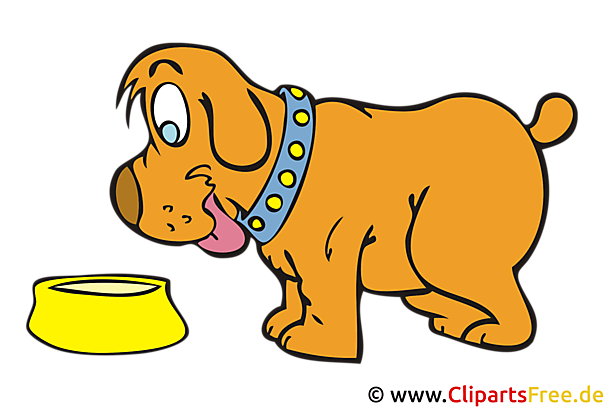 Hund Mit Napf Clipart Bild Cartoon Grafik Kostenlos