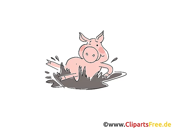 Schwein im Schlamm - Keine Torte - Cartoon Bild