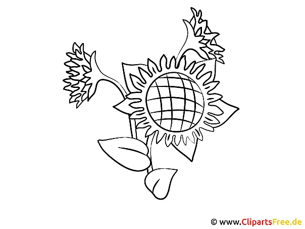 Bauernhof Ausmalbilder zum Ausdrucken - Sonnenblume