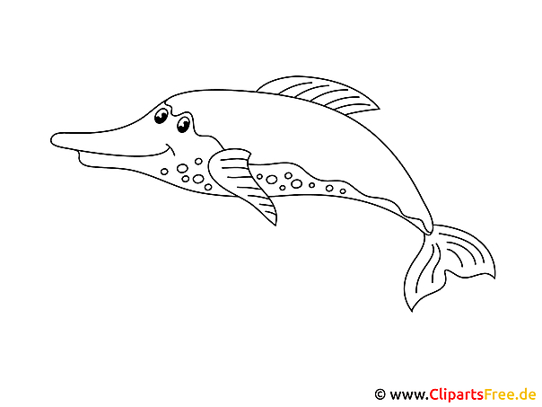 Dolphin Coloring Pictures On The Subject Of Sea Animals