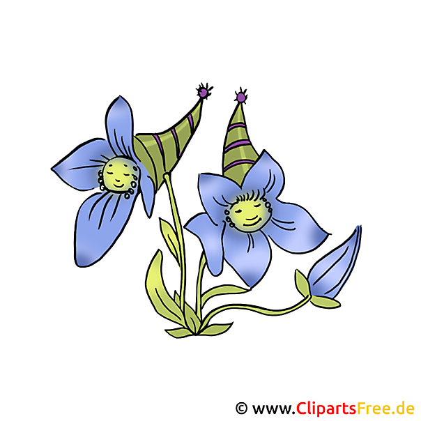 Blume Bild Kostenlos Lustige Blume