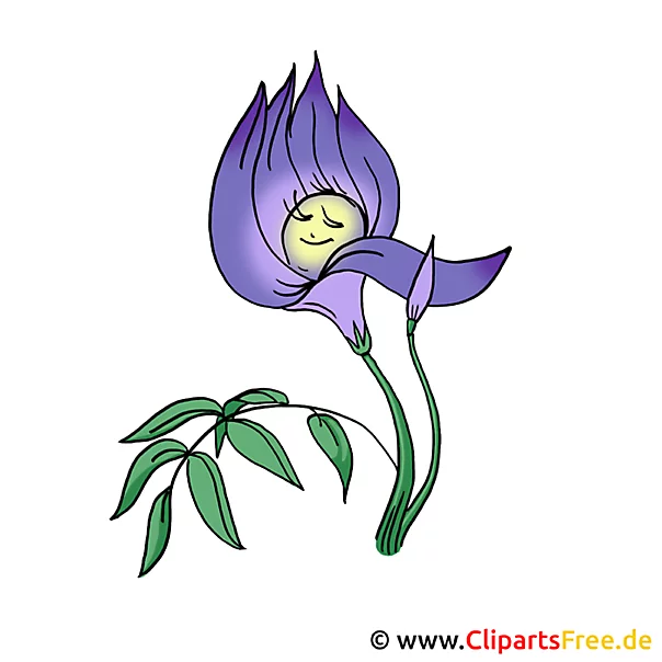 Blumen Bilder und Grafiken kostenlos - Veilchen Bild