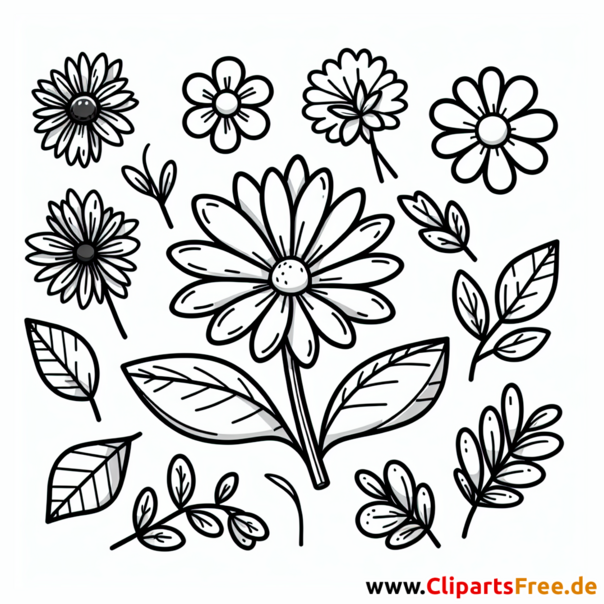 Blume Clipart kostenlos - Bilder gratis herunterladen