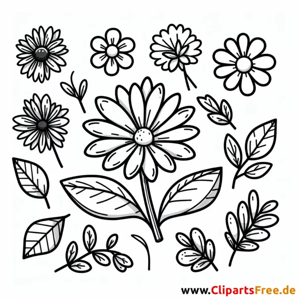 Blume Clipart kostenlos - Bilder gratis herunterladen