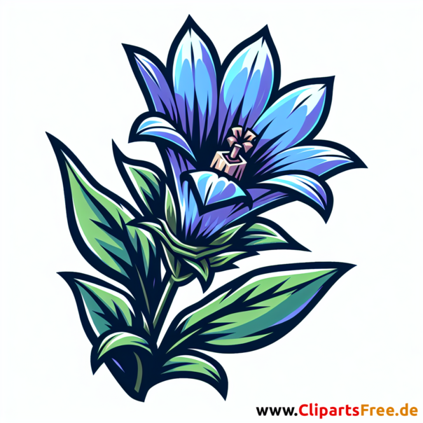 Enzian Clipart - Bilder gratis herunterladen