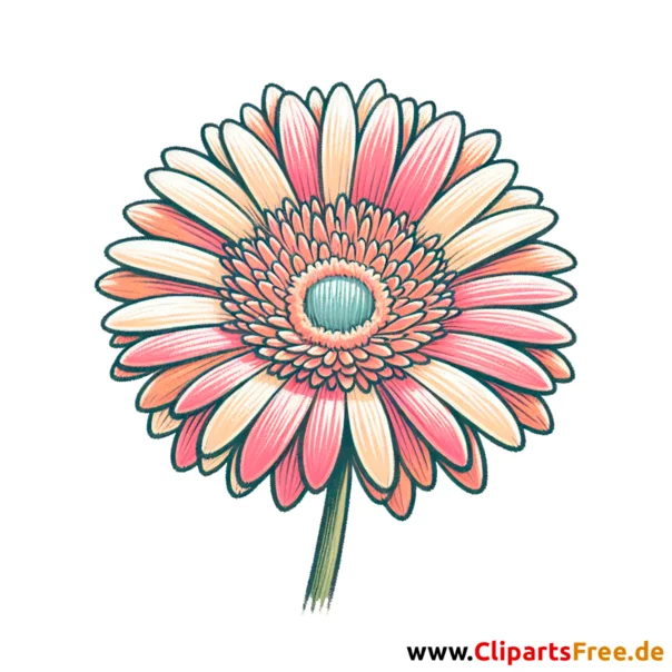 Gerbera Clipart - Bilder zum Herunterladen