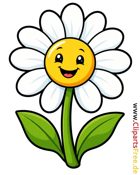 Kamille als Cartoonbild - Kostenlose Cliparts zum Drucken