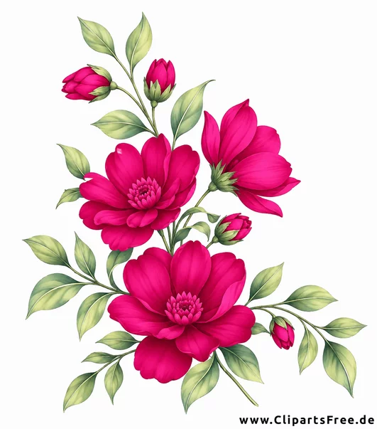 Peonien Blütenzweig mit Knospen und Blättern Bild