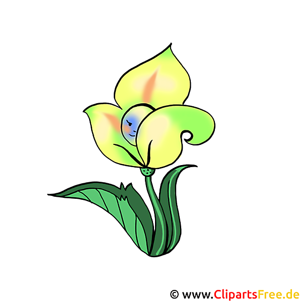 Gelbe Blume Bild Clipart Kostenlos