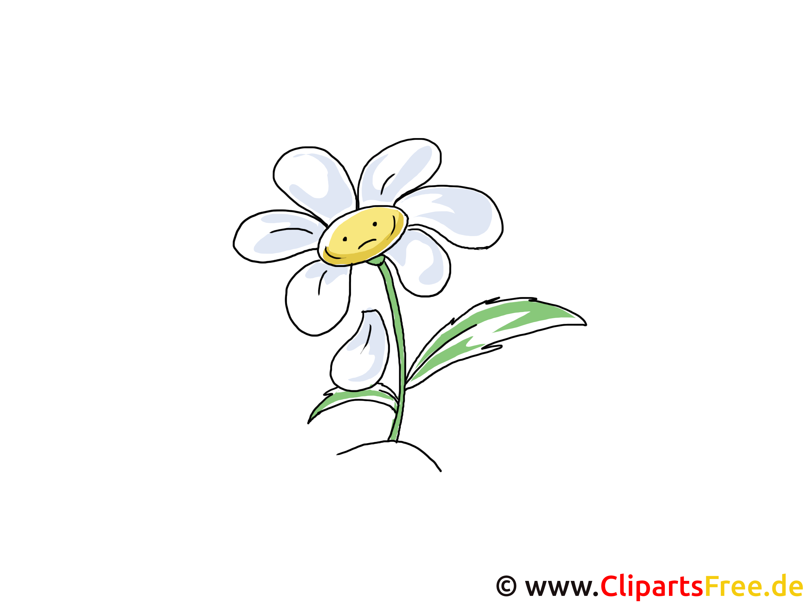 Kamille Clipart Blume Mit Gesicht Cartoon