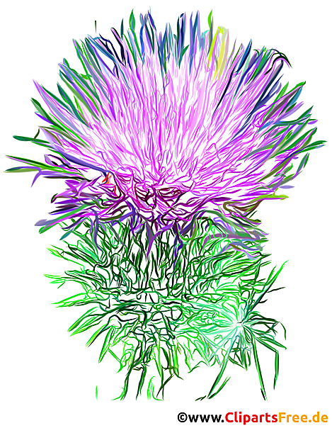 Klette Blume Bild, Illustration - Bilder für Arbeitsblätter