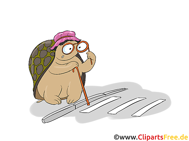 Schildkröte überquert Strasse auf Zebra Clipart, Comic, Bild