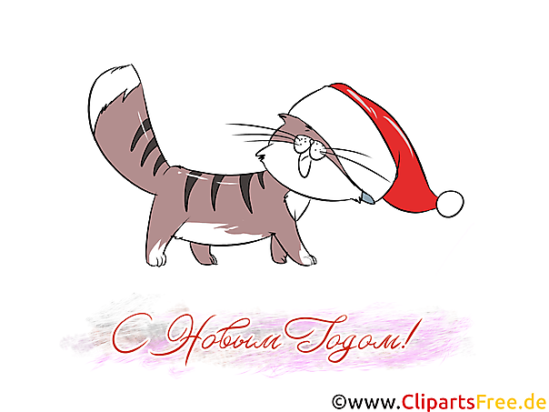 Кот открытка, клипарт, картинка с Новым Годом