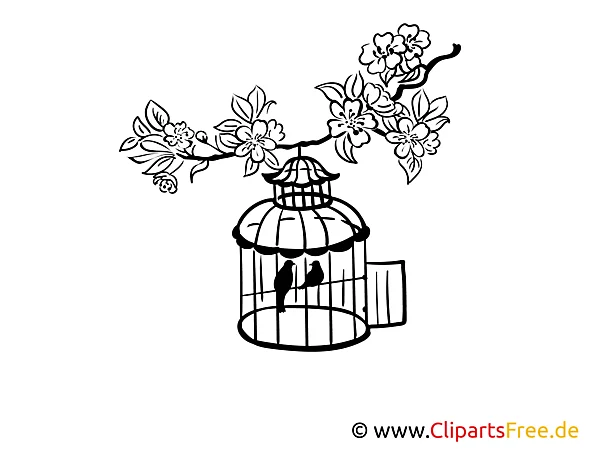 Vogelkäfig Wandtattoos für Küche und Esszimmer