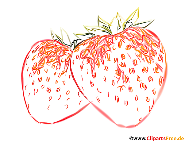 Farbzeichnung Erdbeeren auf dem weißen Hintergrund PNG Clipart