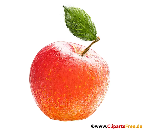 Orangener Apfel mit grünem Blatt Bild- Bilder für Schule