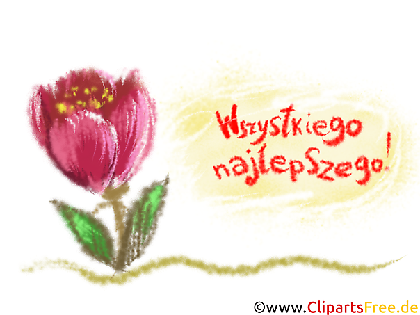 Tulpe Geburtstag Clipart auf Polnisch  kostenlos
