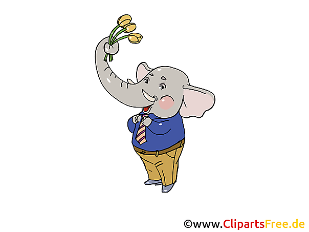 Blumen Zum Geburtstag Clipart Witzig