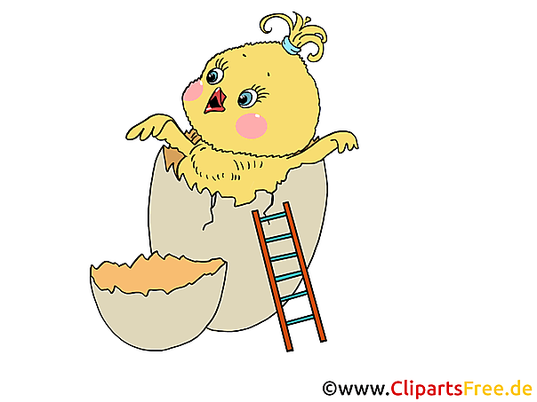 Clip Art Chicken Clip Art Chicken